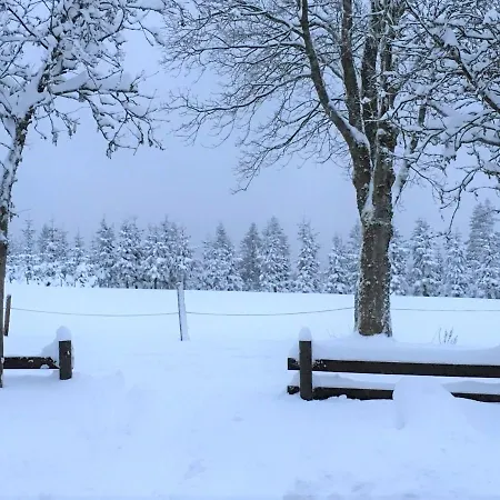 公寓 Erholung In Altastenberg *