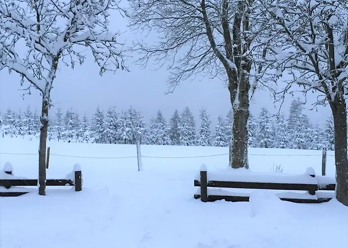 Lejlighed Erholung In Altastenberg *